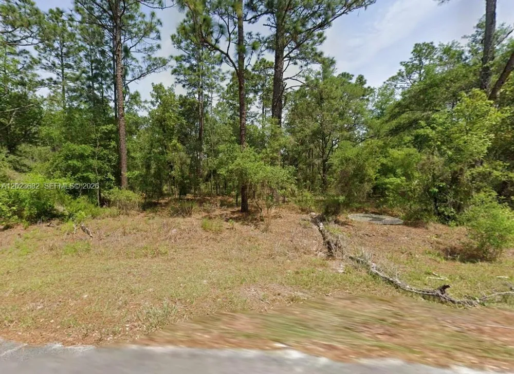 47 Shamrock Avenue Other City - In The State Of Florida, FL 34431