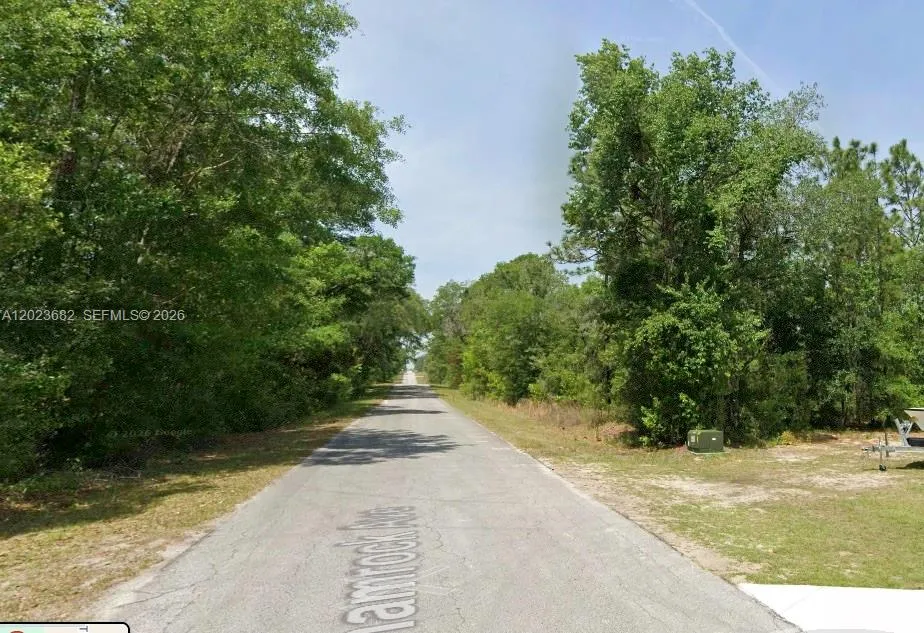 47 Shamrock Avenue Other City - In The State Of Florida, FL 34431