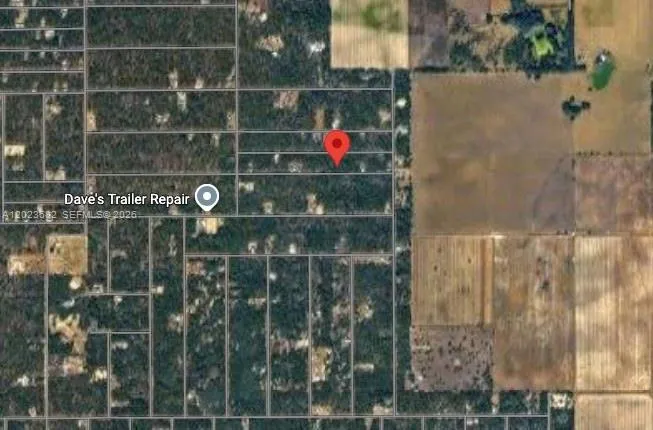 47 Shamrock Avenue Other City - In The State Of Florida, FL 34431