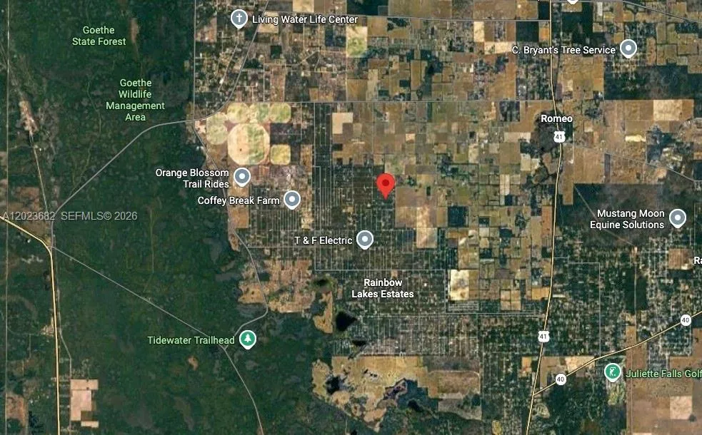 47 Shamrock Avenue Other City - In The State Of Florida, FL 34431