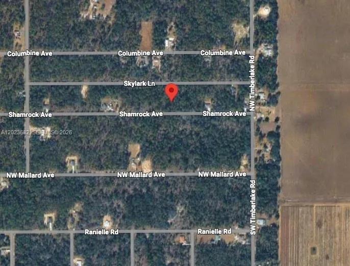47 Shamrock Avenue Other City - In The State Of Florida, FL 34431