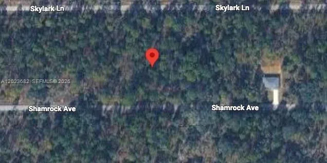 47 Shamrock Avenue Other City - In The State Of Florida, FL 34431