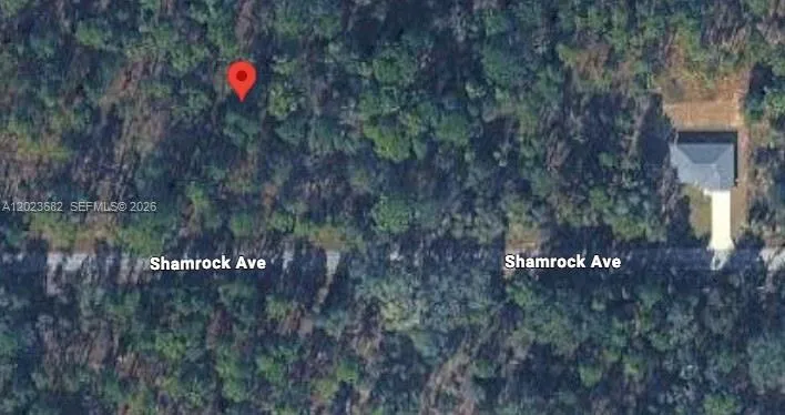 47 Shamrock Avenue Other City - In The State Of Florida, FL 34431