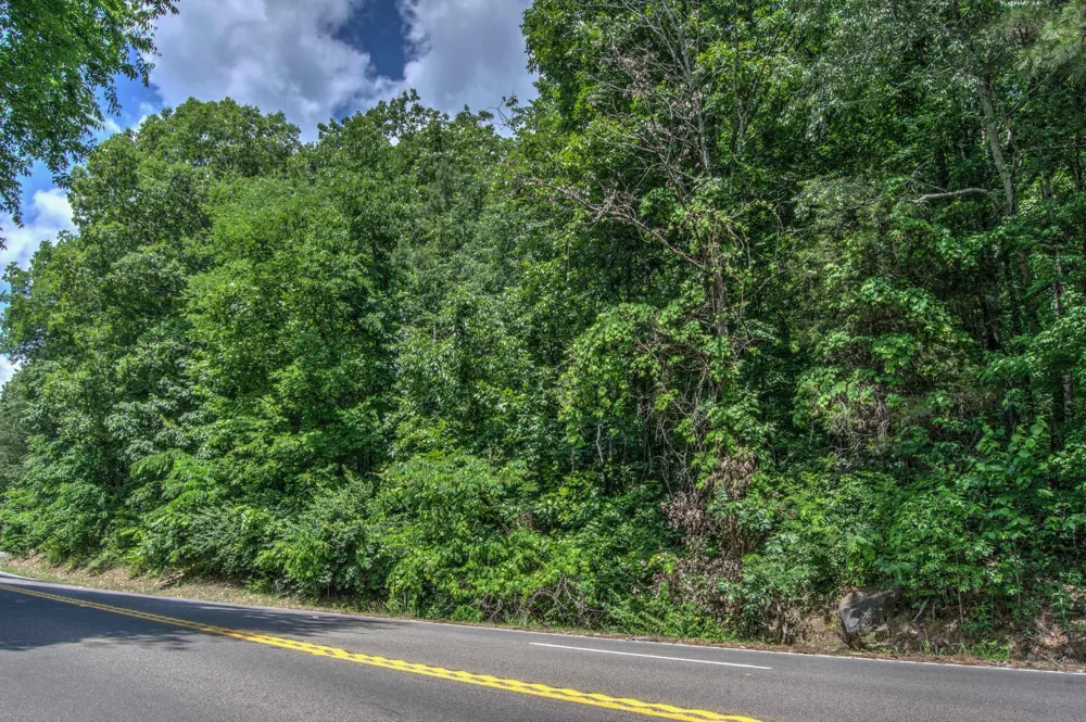 136 Ga 136 Trenton, GA 30752
