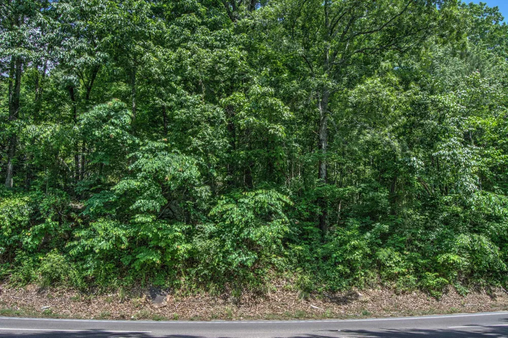 136 Ga 136 Trenton, GA 30752