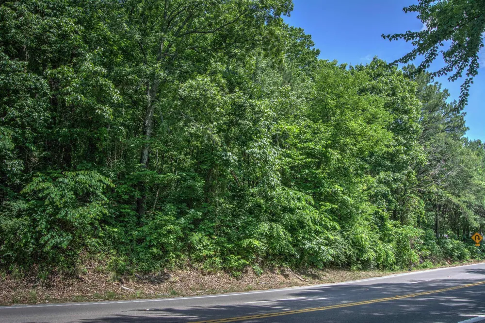 136 Ga 136 Trenton, GA 30752