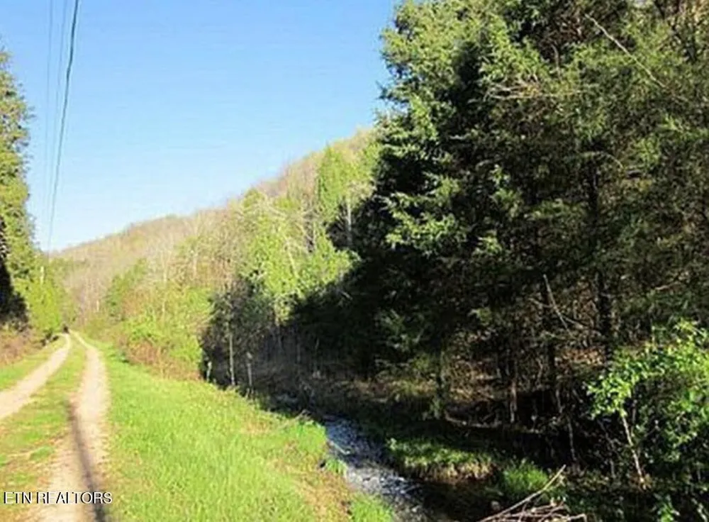360 Spurlock Hollow Lane Gainesboro, TN 38562