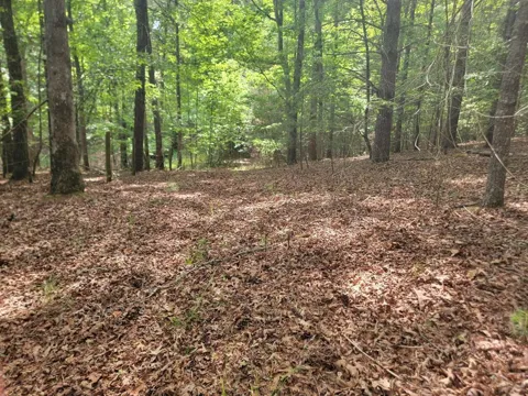 Lot 44 Sugar Maple Lane