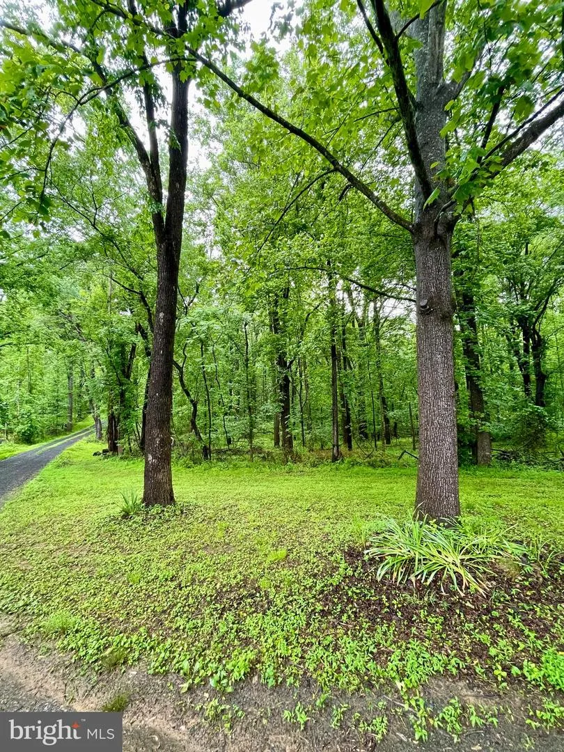 CARSONS WAY Amissville, VA 20106