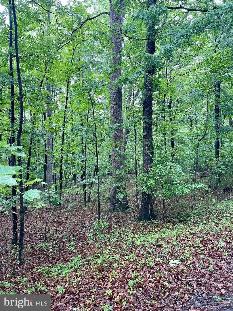 CARSONS WAY Amissville, VA 20106