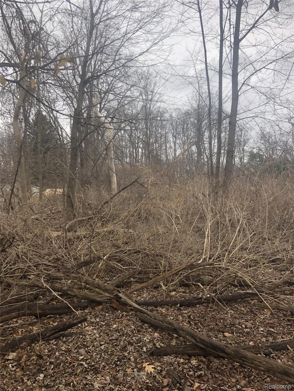 Massena Avenue Commerce Charter Township, MI 48382