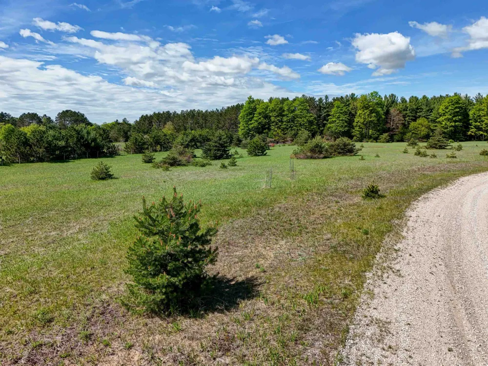 Sugarpine Lane Almira Township, MI 49650