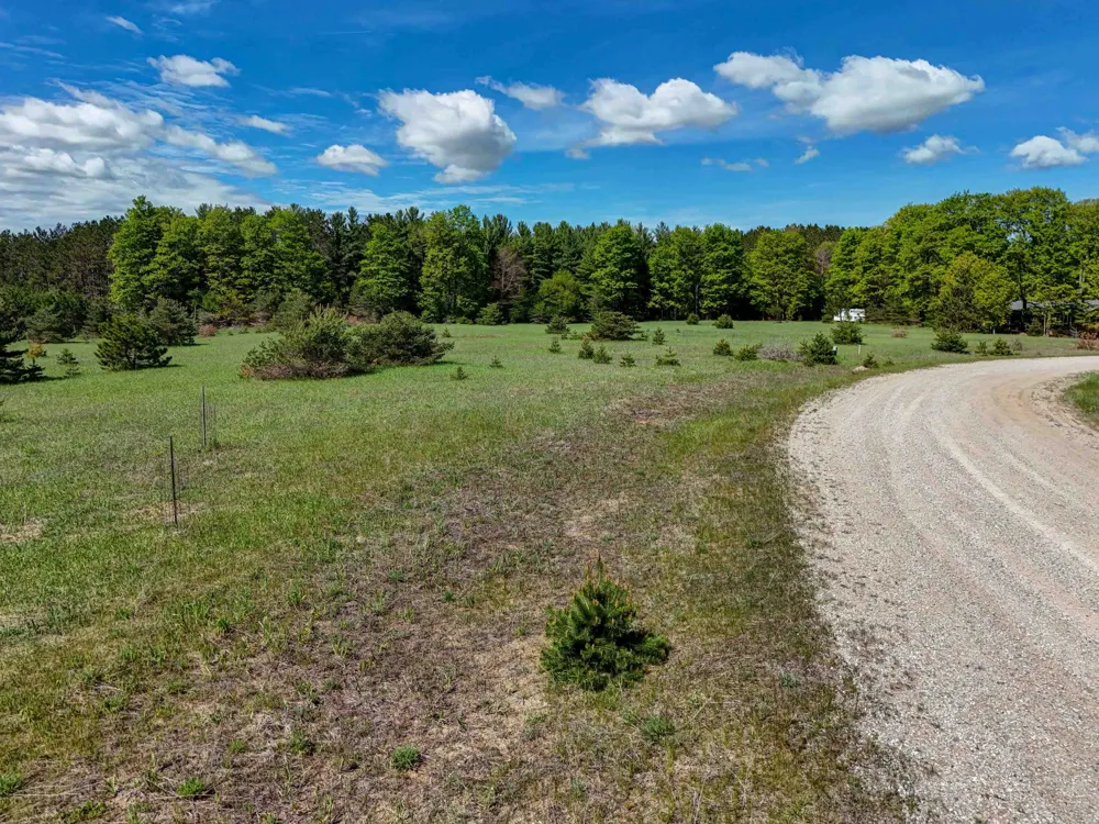 Sugarpine Lane Almira Township, MI 49650
