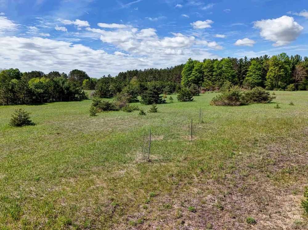 Sugarpine Lane Almira Township, MI 49650