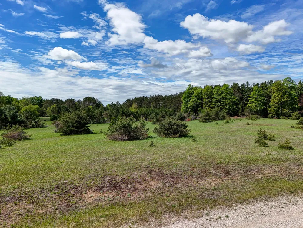 Sugarpine Lane Almira Township, MI 49650