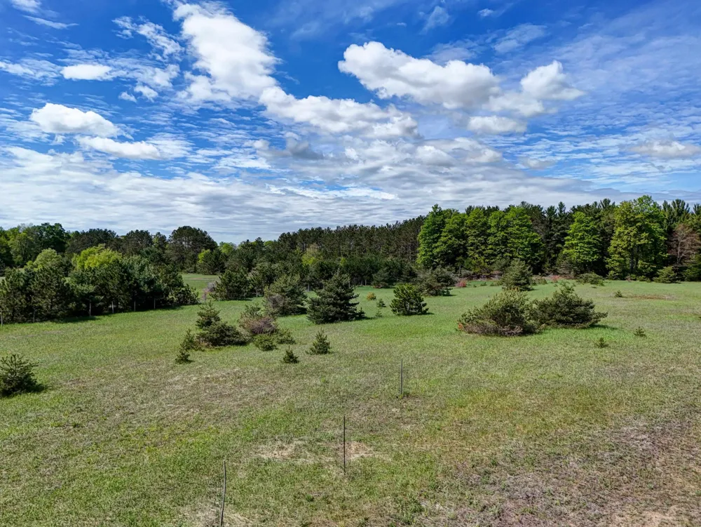 Sugarpine Lane Almira Township, MI 49650