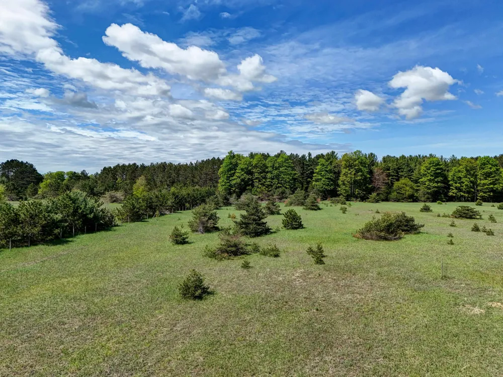 Sugarpine Lane Almira Township, MI 49650
