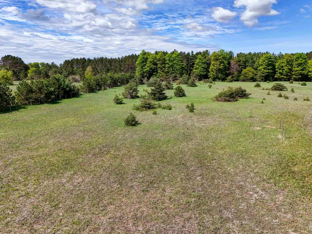 Sugarpine Lane Almira Township, MI 49650