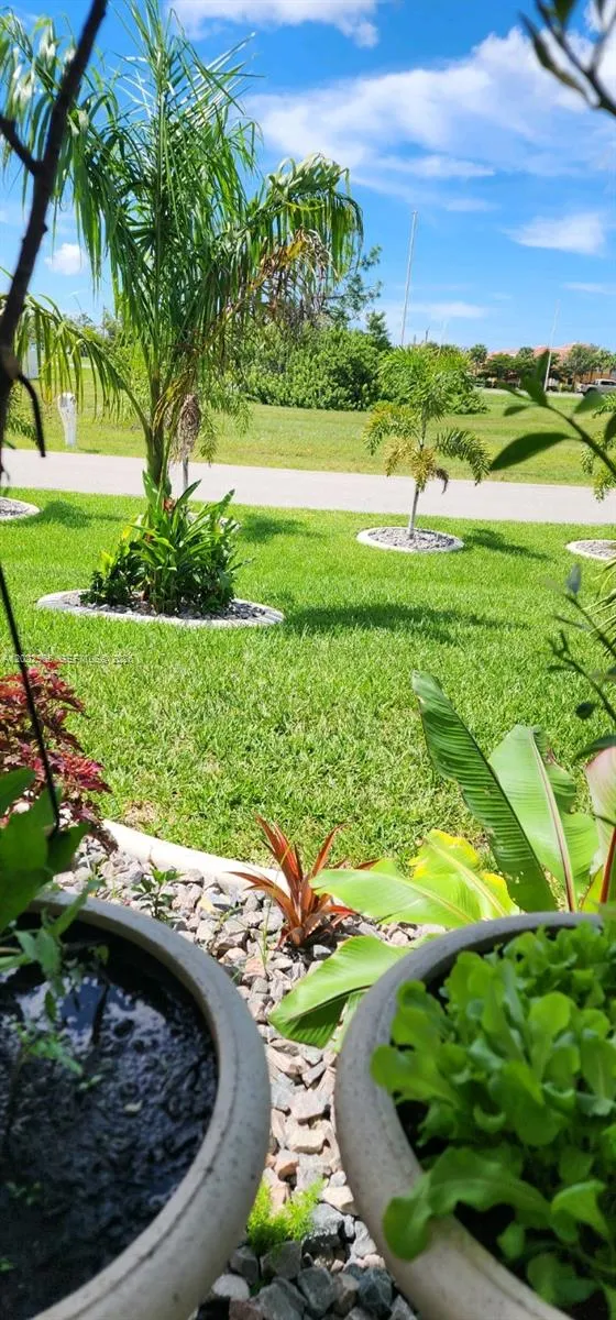 225 SW 31ST PL Cape Coral, FL 33991
