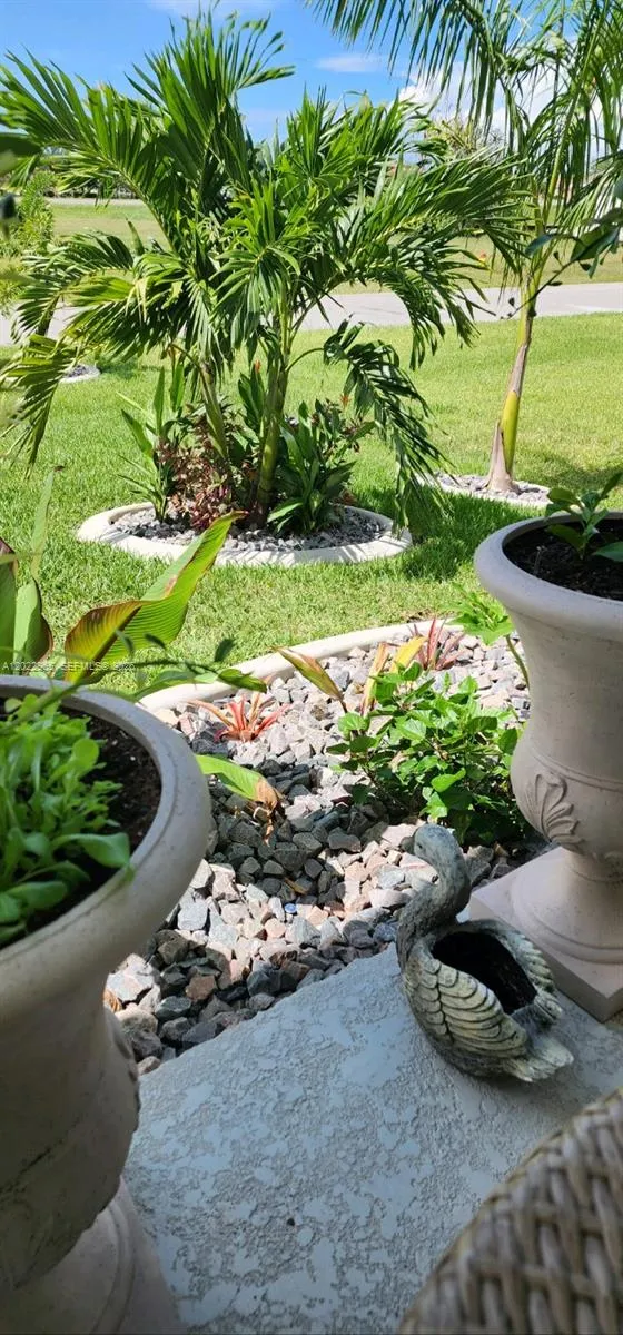 225 SW 31ST PL Cape Coral, FL 33991