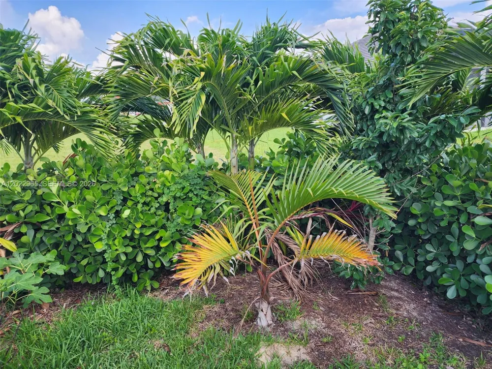 225 SW 31ST PL Cape Coral, FL 33991