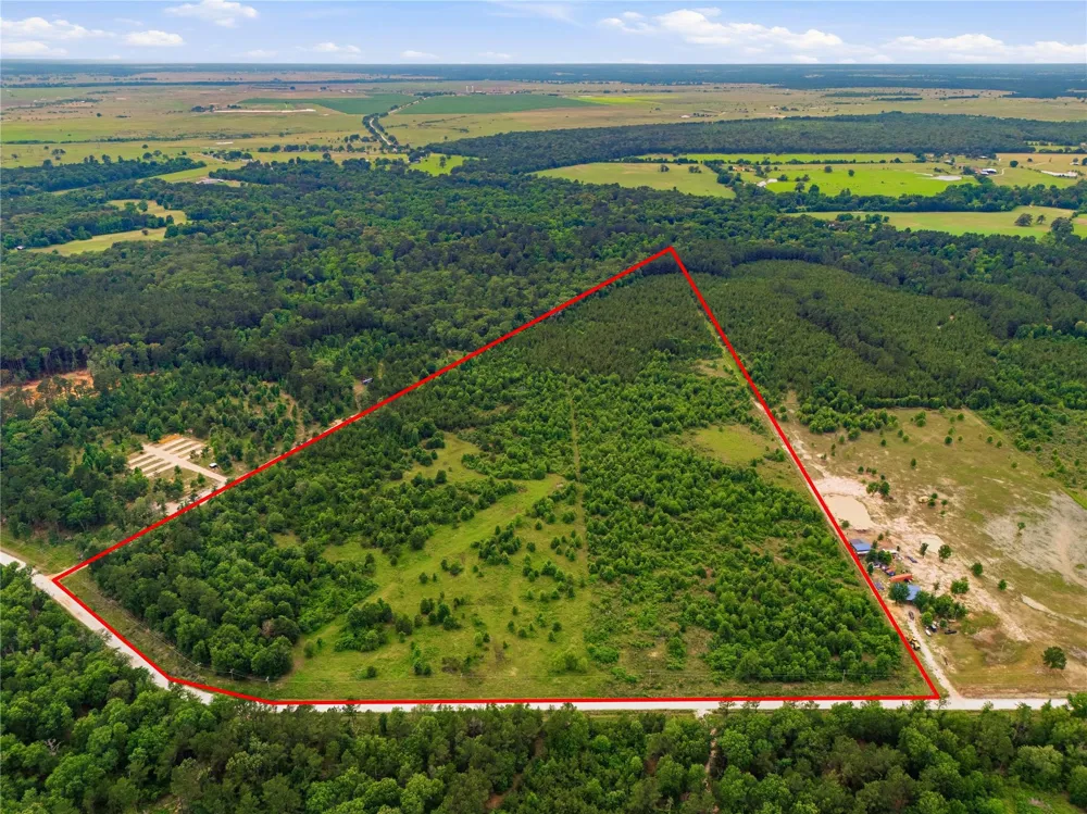 2564 Pr 8160 Lovelady, TX 75851
