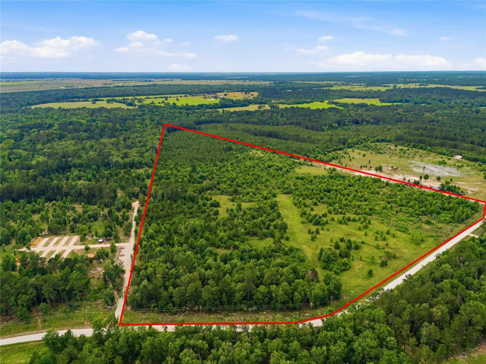 2564 Pr 8160 Lovelady, TX 75851