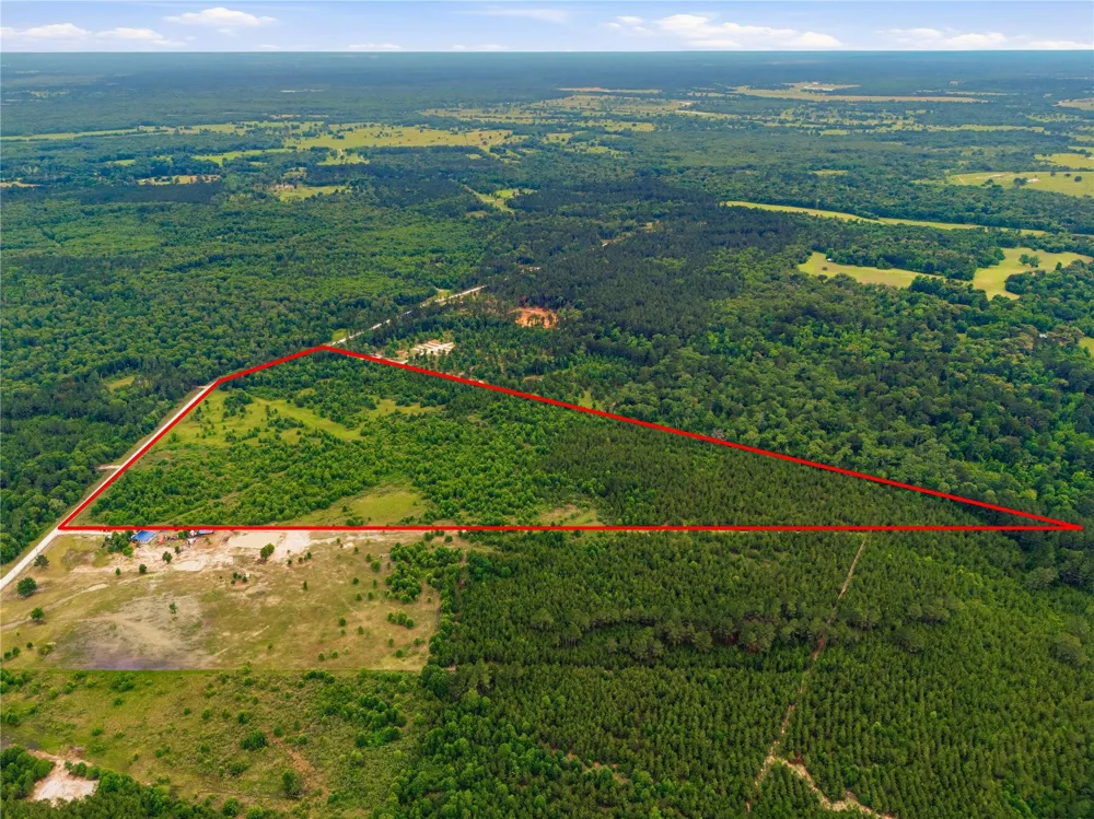 2564 Pr 8160 Lovelady, TX 75851