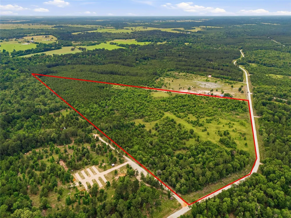 2564 Pr 8160 Lovelady, TX 75851