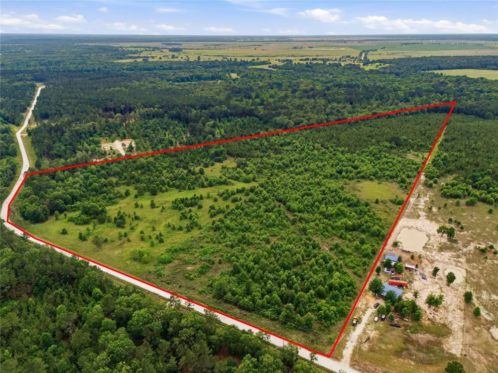 2564 Pr 8160 Lovelady, TX 75851