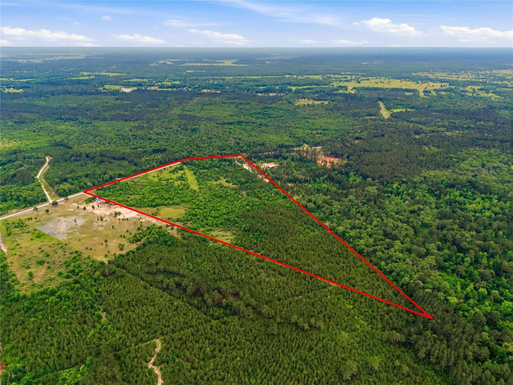 2564 Pr 8160 Lovelady, TX 75851