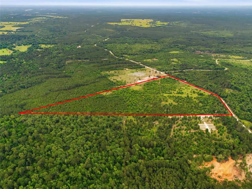 2564 Pr 8160 Lovelady, TX 75851