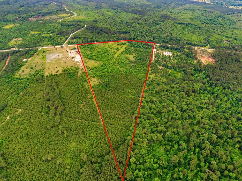 2564 Pr 8160 Lovelady, TX 75851