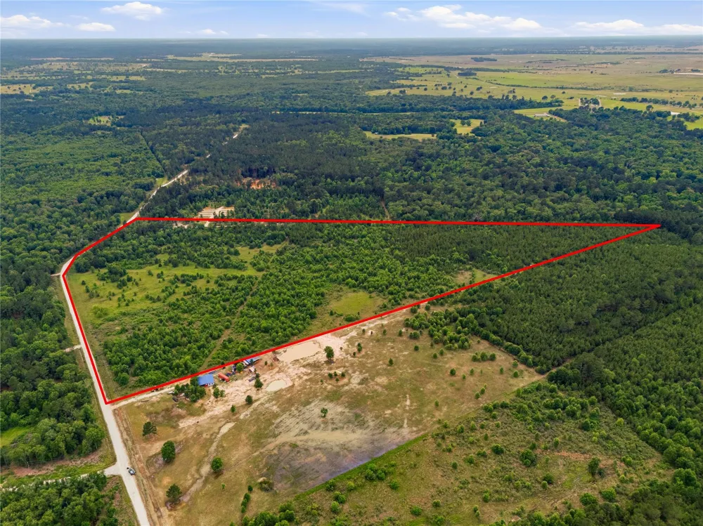 2564 Pr 8160 Lovelady, TX 75851