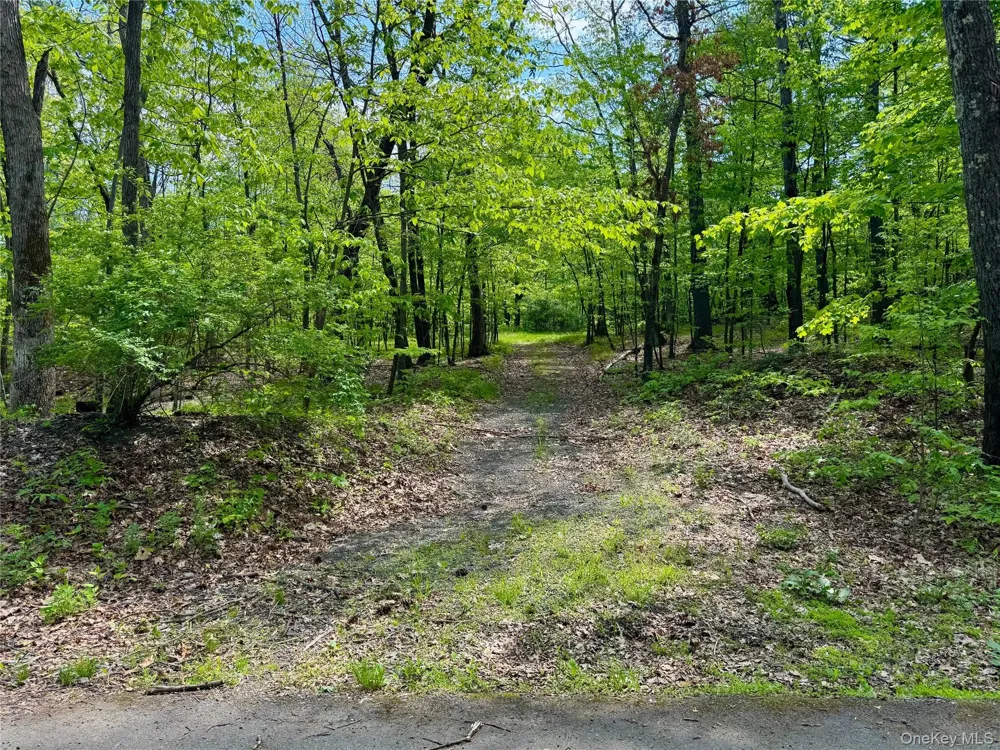TBD Bill Matter Road Coxsackie, NY 12051