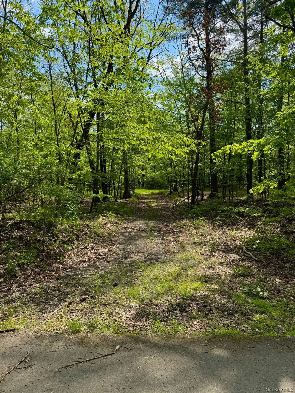 TBD Bill Matter Road Coxsackie, NY 12051