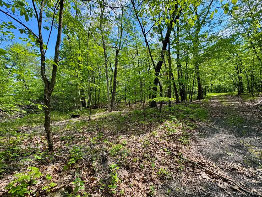 TBD Bill Matter Road Coxsackie, NY 12051