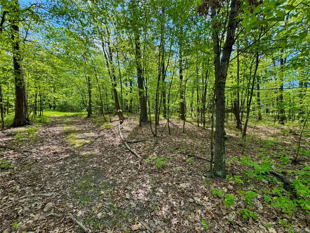 TBD Bill Matter Road Coxsackie, NY 12051