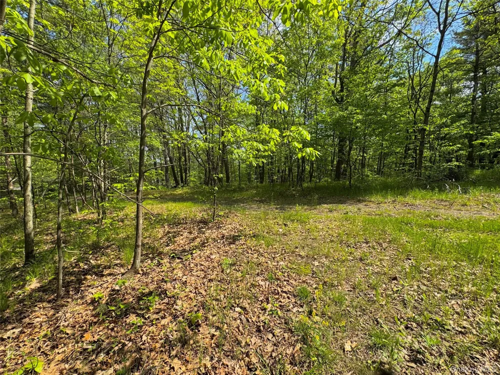 TBD Bill Matter Road Coxsackie, NY 12051