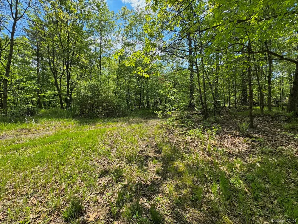 TBD Bill Matter Road Coxsackie, NY 12051