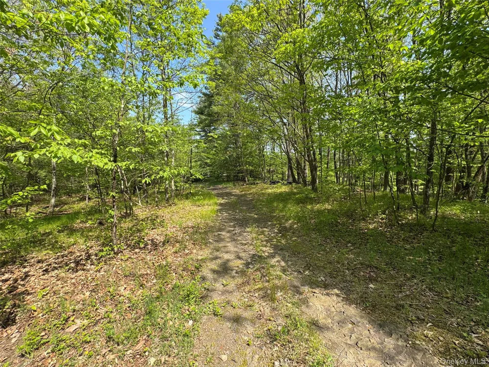 TBD Bill Matter Road Coxsackie, NY 12051