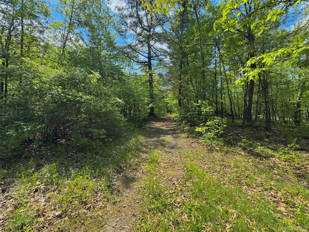 TBD Bill Matter Road Coxsackie, NY 12051