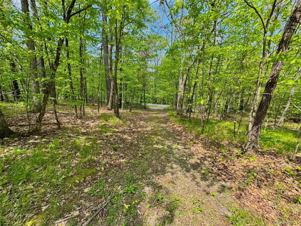 TBD Bill Matter Road Coxsackie, NY 12051