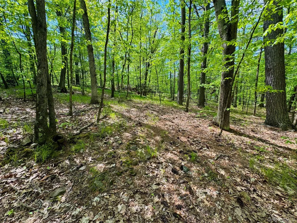TBD Bill Matter Road Coxsackie, NY 12051