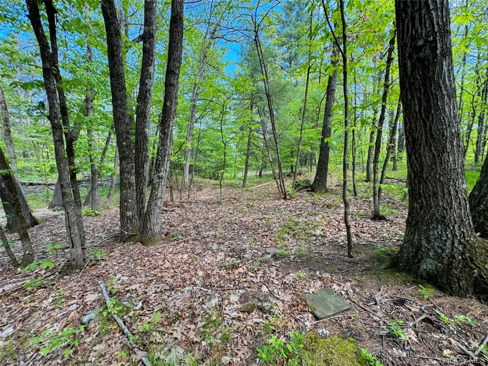TBD Bill Matter Road Coxsackie, NY 12051