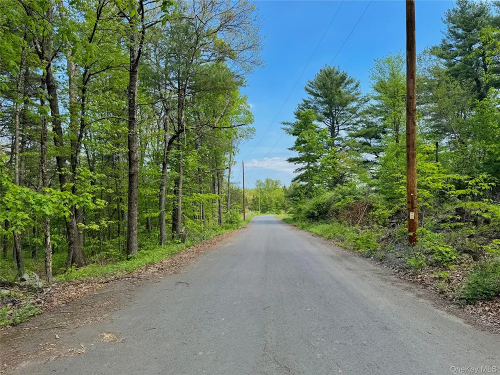 TBD Bill Matter Road Coxsackie, NY 12051