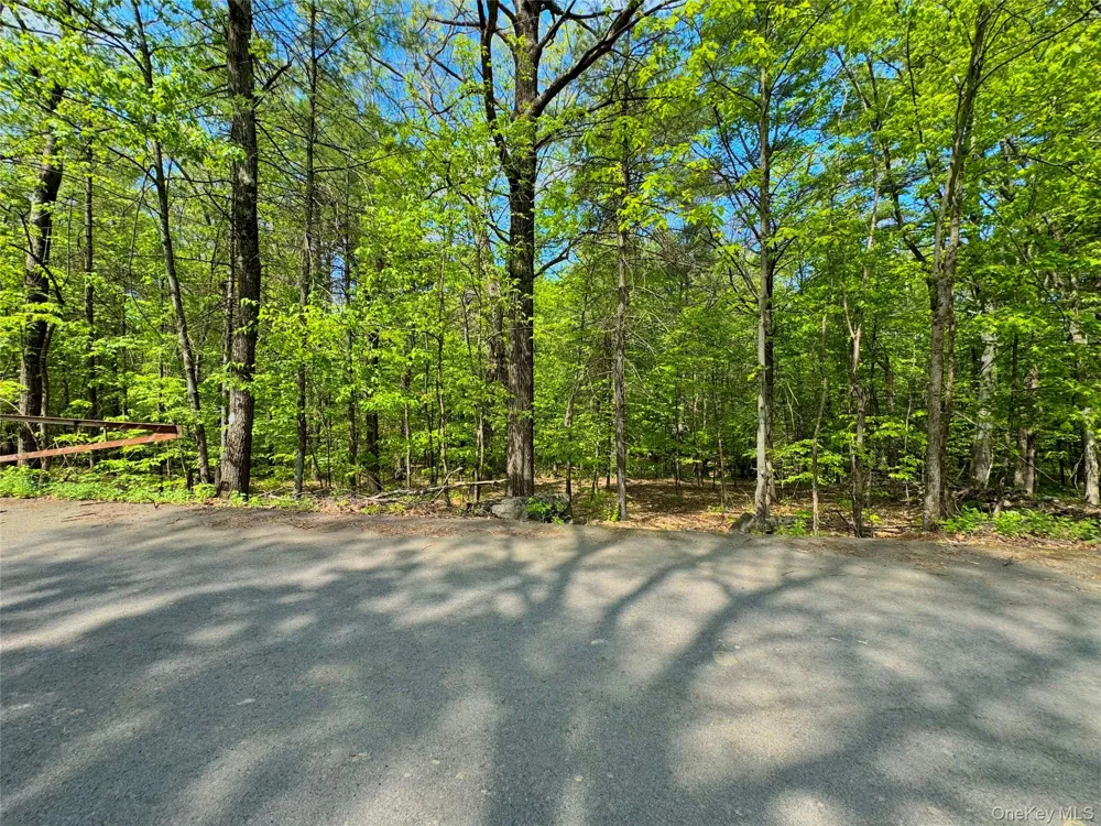 TBD Bill Matter Road Coxsackie, NY 12051