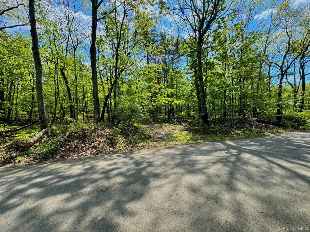 TBD Bill Matter Road Coxsackie, NY 12051