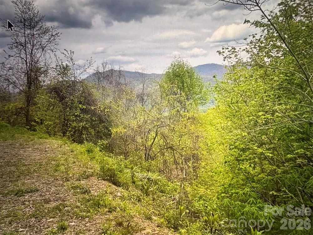 0 Huckleberry Walk #61 Bryson City, NC 28713