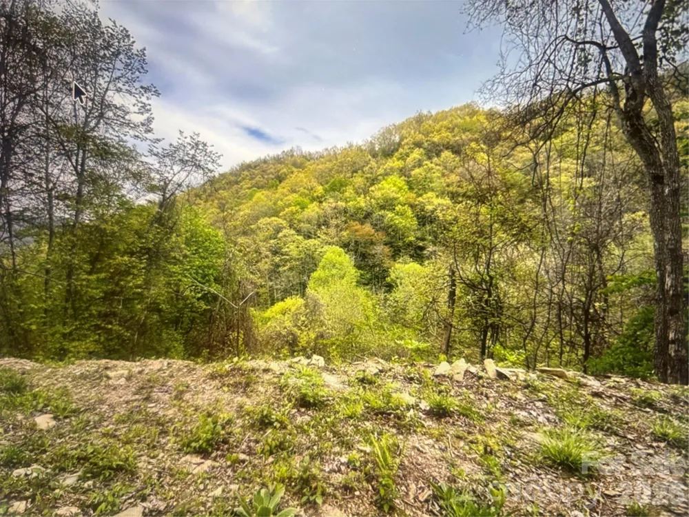 0 Huckleberry Walk #61 Bryson City, NC 28713